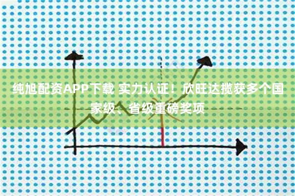 纯旭配资APP下载 实力认证！欣旺达揽获多个国家级、省级重磅奖项